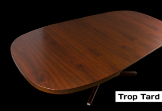 Table Ovale & Pied Central Vintage Année 1960 / 1970